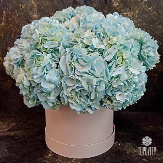 Композиция из 9 голубых гортензий в коробке