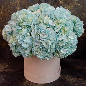 Композиция из 9 голубых гортензий в коробке