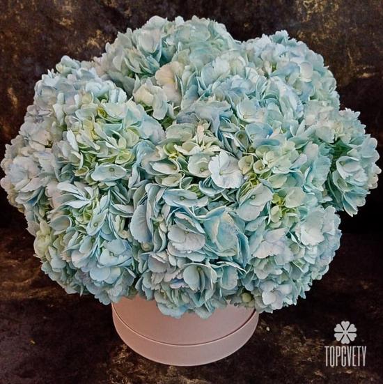 Композиция из 9 голубых гортензий в коробке
