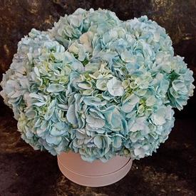 Композиция из 9 голубых гортензий в коробке