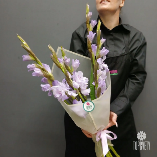 Букет из 5 сиреневых гладиолусов