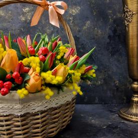Тюльпаны и мимоза в корзине