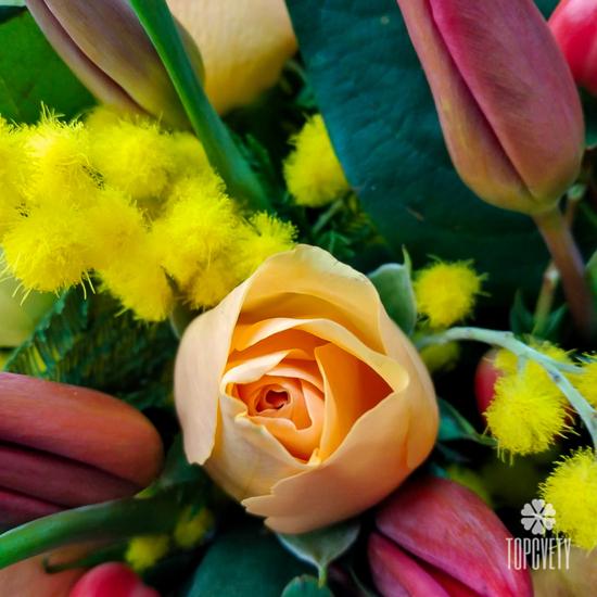 Тюльпаны и мимоза в корзине