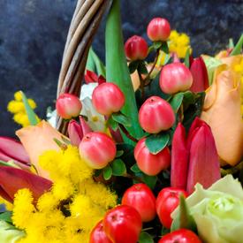 Тюльпаны и мимоза в корзине