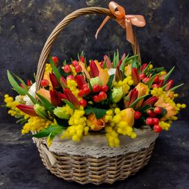 Тюльпаны и мимоза в корзине