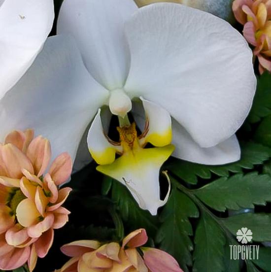 Букет из орхидей и хризантем 