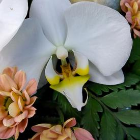 Букет из орхидей и хризантем 