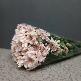 Пачка кустовых хризантем (5 шт)
