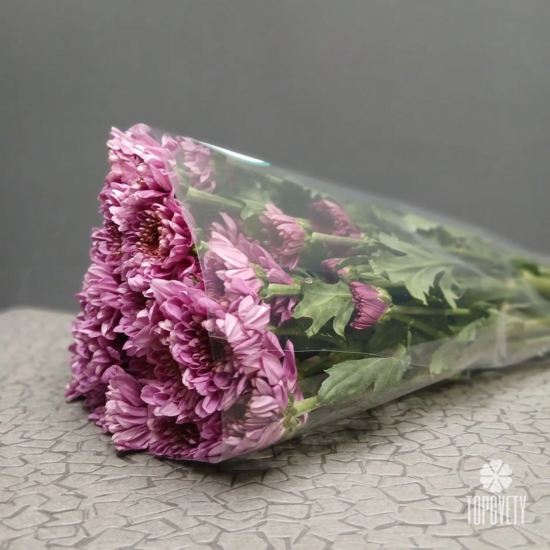 Пачка кустовых хризантем (5 шт)