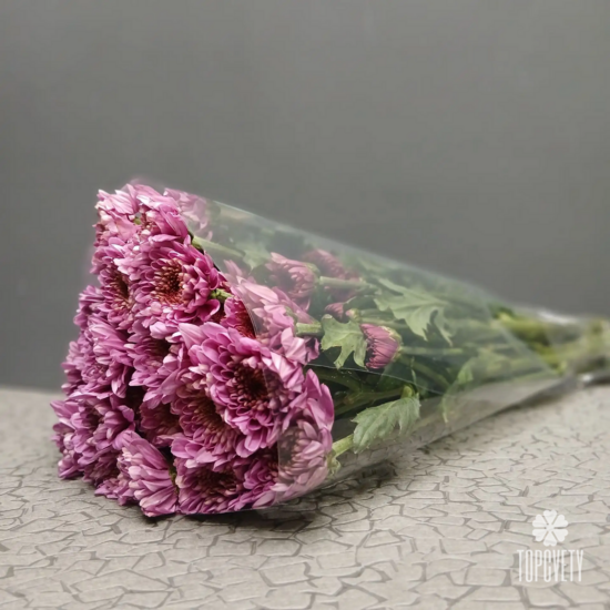 Пачка кустовых хризантем (5 шт)