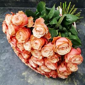 Букет из 35 пионовидных роз Кахала 60см