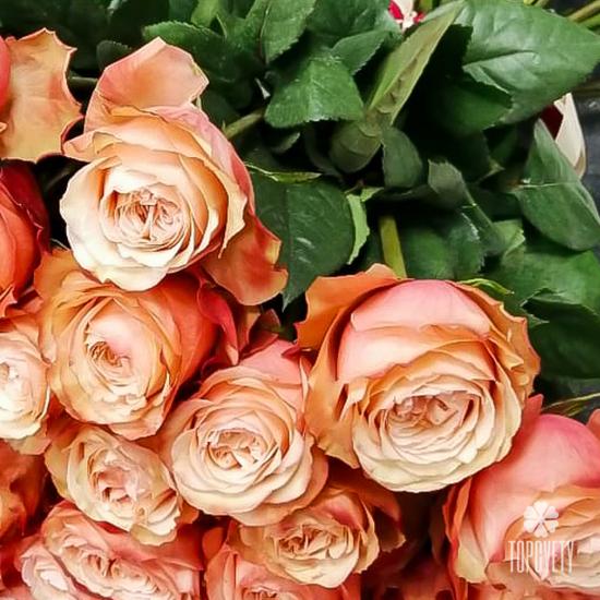 Букет из 35 пионовидных роз Кахала 60см