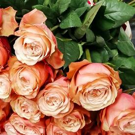 Букет из 35 пионовидных роз Кахала 60см