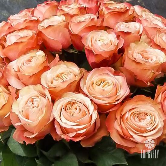 Букет из 35 пионовидных роз Кахала 60см