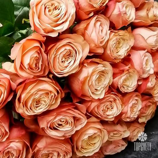 Букет из 35 пионовидных роз Кахала 60см