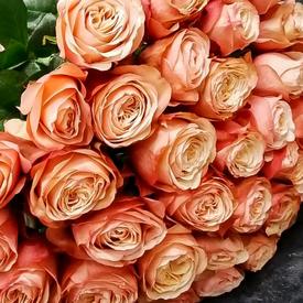 Букет из 35 пионовидных роз Кахала 60см