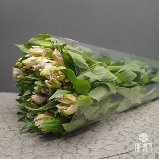 Пачка нежно-розовых   альстромерий  (10шт)	