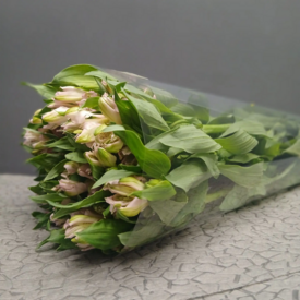 Пачка нежно-розовых   альстромерий  (10шт)	