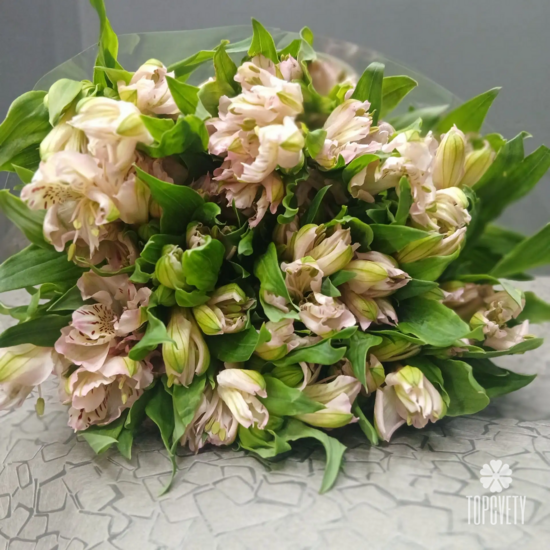 Пачка нежно-розовых   альстромерий  (10шт)	