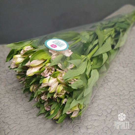 Пачка нежно-розовых   альстромерий  (10шт)	