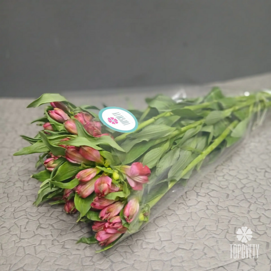 Пачка малиновых   альстромерий  (10шт)	