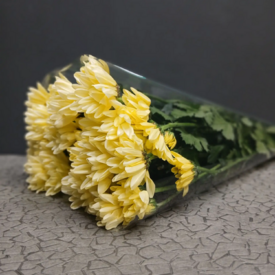 Пачка кустовых хризантем (5 шт)