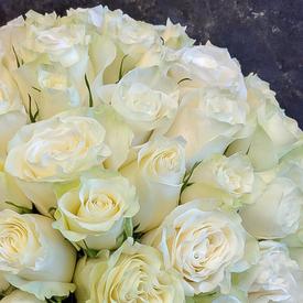 Букет из 75 белых роз в коробке 