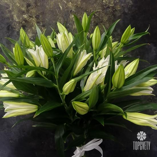 Букет из 7 белых лилий