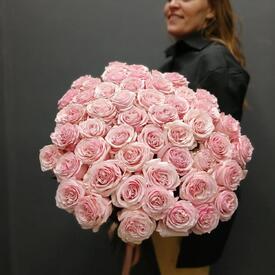 Букет из 51 розы Бимба 70см