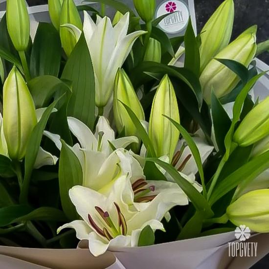 Букет из 9 белых лилий 