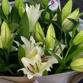 Букет из 9 белых лилий 