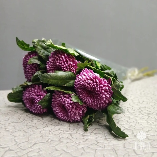 Пачка хризантем (5 шт)