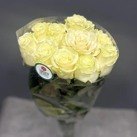 Пачка роз  Мондиаль 70см (10шт)
