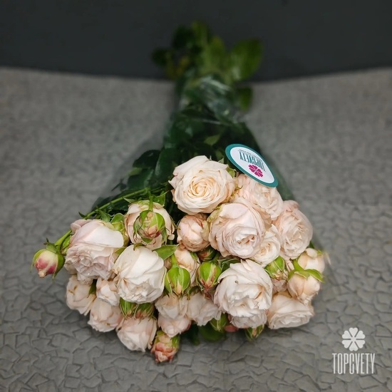 Пачка кустовых роз 50 см (10шт)