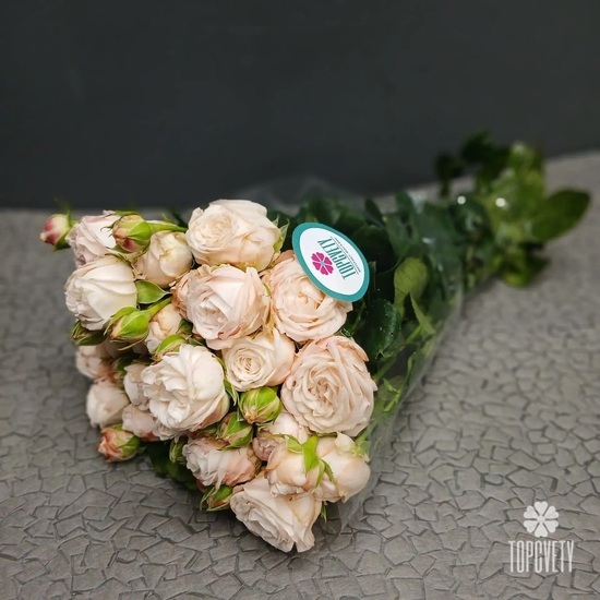 Пачка кустовых роз 50 см (10шт)