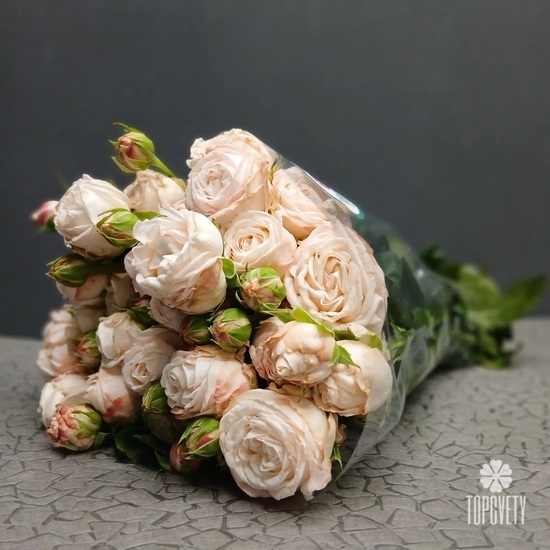 Пачка кустовых роз 50 см (10шт)