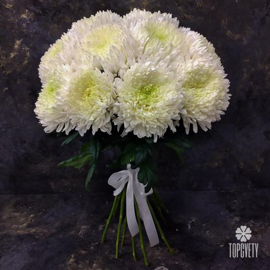 Букет из 15 белых хризантем