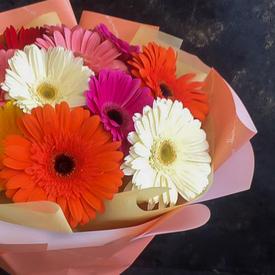 Букет из 15 гербер микс