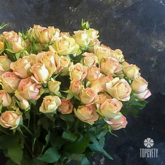 Букет из 19 кремовых кустовых роз 50 см
