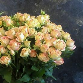 Букет из 19 кремовых кустовых роз 50 см