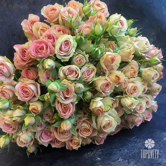 Букет из 19 кремовых кустовых роз 50 см