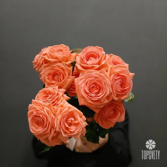 Букет из 3 коралловых кустовых роз 50см