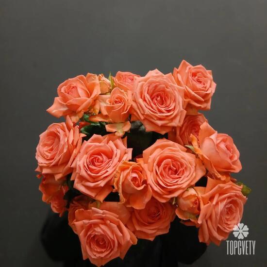 Букет из 5 коралловых кустовых роз 50см