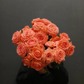 Букет из 7 коралловых кустовых роз 50см