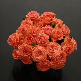 Букет из 9 коралловых кустовых роз 50см