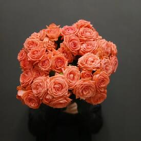 Букет из 11 коралловых кустовых роз 50см
