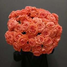 Букет из 17 коралловых кустовых роз 50см