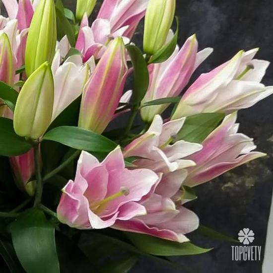 Букет из 9 розовых лилий