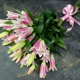 Букет из 9 розовых лилий