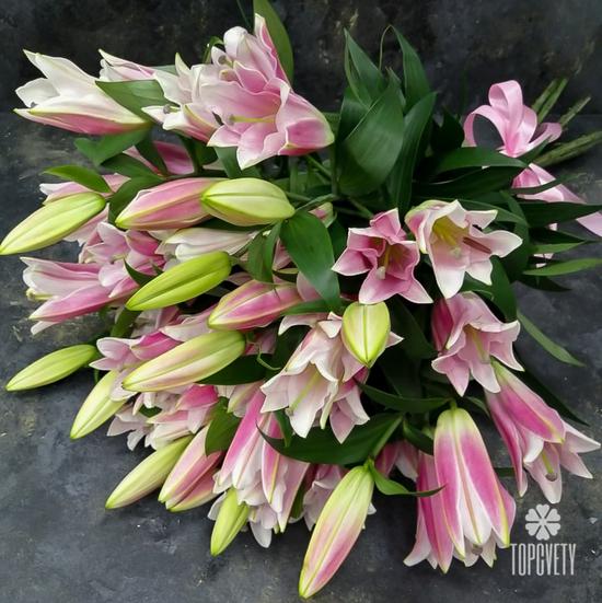 Букет из 9 розовых лилий